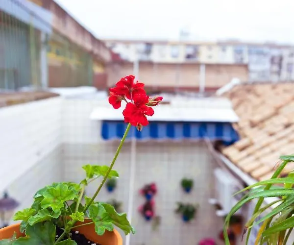 Casa La Plateria Hébergement de vacances *